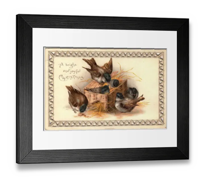 Framed Print : Six sparrows on a Christmas card Framed Print : Six sparrows on a Christmas card