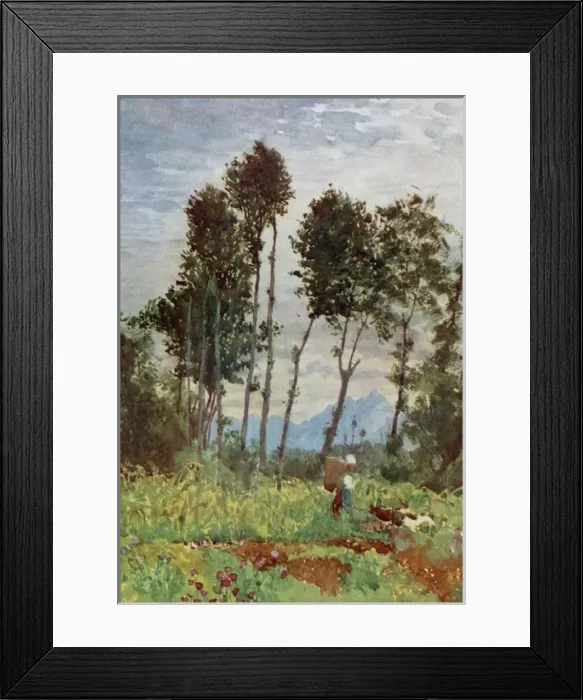 Framed Print : Valley in Piedmont Framed Print : Valley in Piedmont