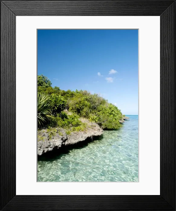 Framed Print : Ile aux Aigrettes island Framed Print : Ile aux Aigrettes island