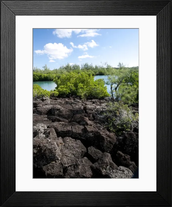 Framed Print : Vegetation and basalt rocks at the sea shore Framed Print : Vegetation and basalt rocks at the sea shore