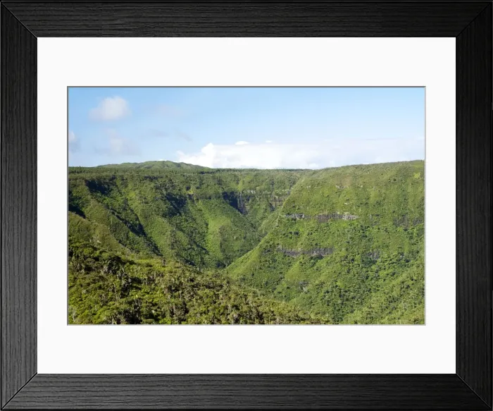 Framed Print : Black River National Park Framed Print : Black River National Park