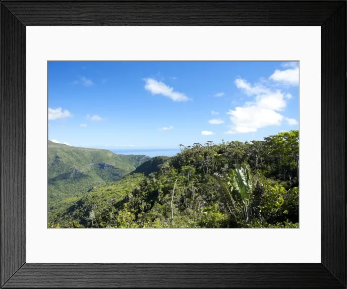 Framed Print : Black River National Park Framed Print : Black River National Park