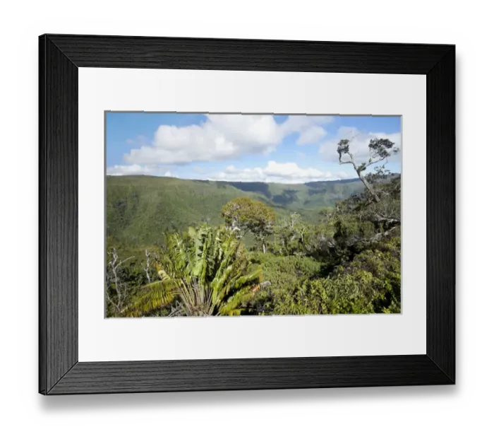 Framed Print : Black River National Park Framed Print : Black River National Park