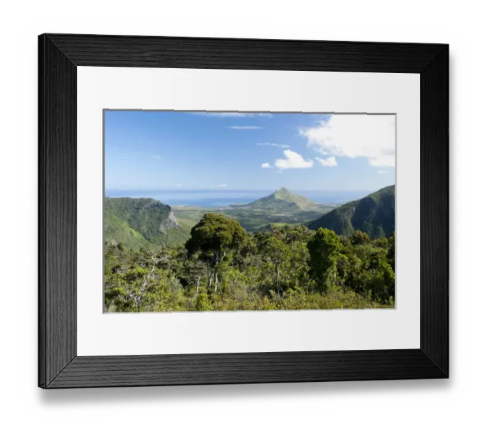 Framed Print : Black River National Park