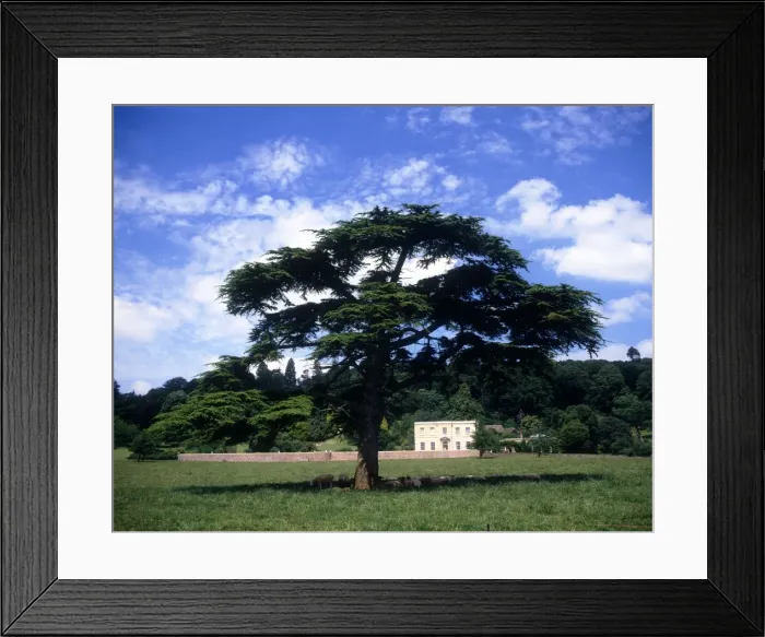 Framed Print : Distant view of Arlington Court, near Barnstaple, Devon