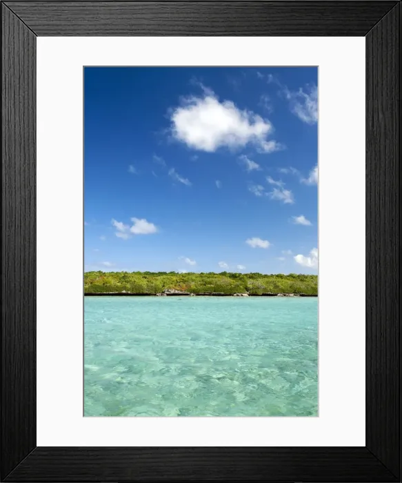 Framed Print : Ile aux Aigrettes island