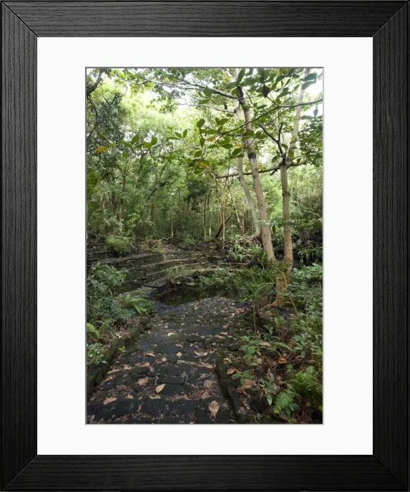 Framed Print : Amphitheatre-like structure built of black basalt Framed Print : Amphitheatre-like structure built of black basalt