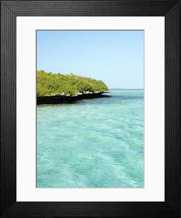 Framed Print : Ile aux Aigrettes island Framed Print : Ile aux Aigrettes island