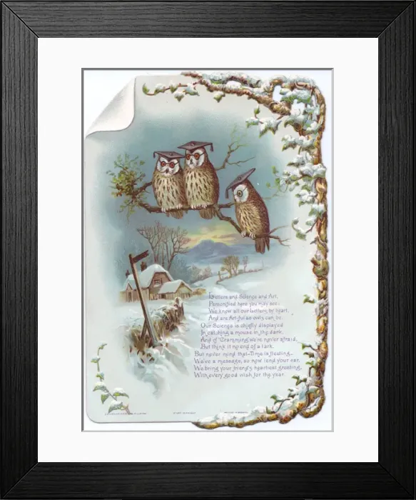 Framed Print : Three educated owls on a New Year card Framed Print : Three educated owls on a New Year card