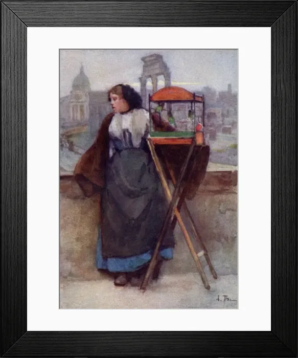 Framed Print : Selling birds in Rome, Italy Framed Print : Selling birds in Rome, Italy