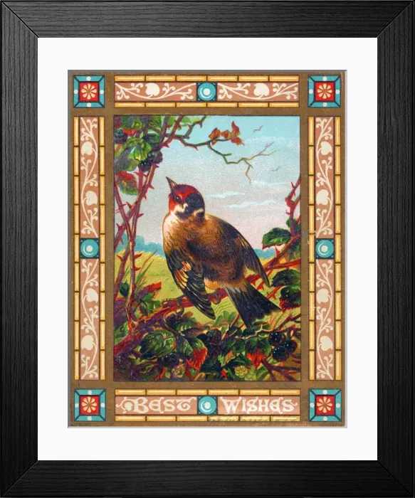 Framed Print : Bird on a greetings card Framed Print : Bird on a greetings card