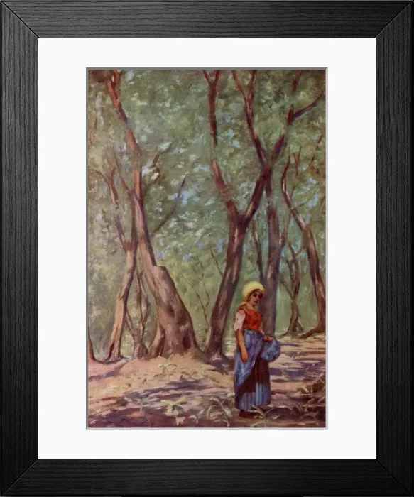 Framed Print : Olive region, Italy Framed Print : Olive region, Italy
