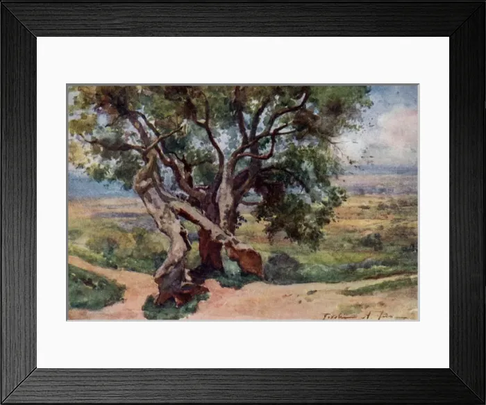 Framed Print : Roman Campagna, Lazio, Italy Framed Print : Roman Campagna, Lazio, Italy