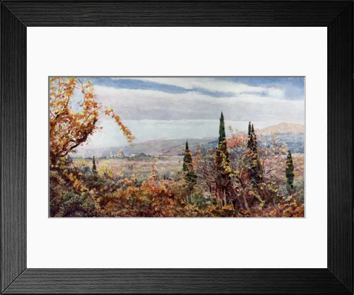 Framed Print : View of Florence, Tuscany, Italy Framed Print : View of Florence, Tuscany, Italy