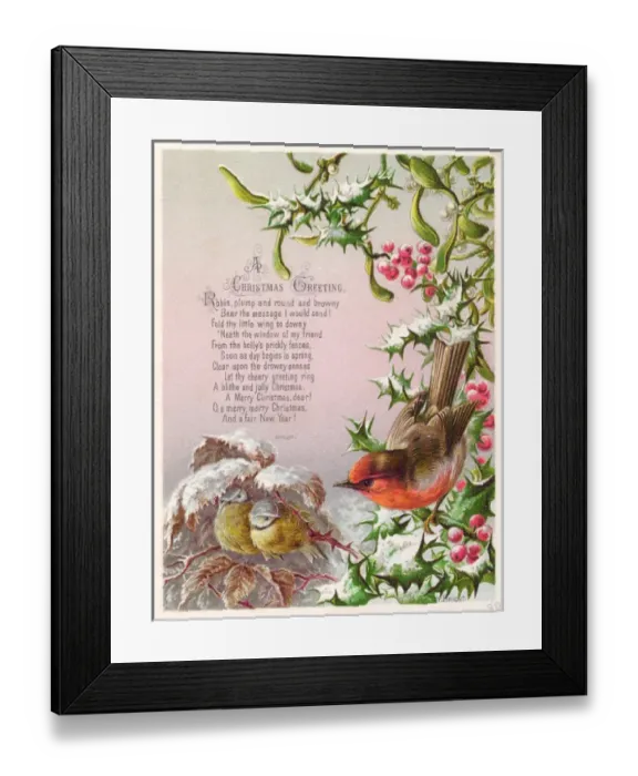 Framed Print : Robin and two great tits on a Christmas card Framed Print : Robin and two great tits on a Christmas card