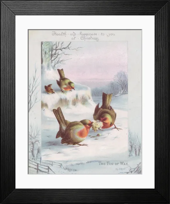 Framed Print : Robins on a Christmas card Framed Print : Robins on a Christmas card