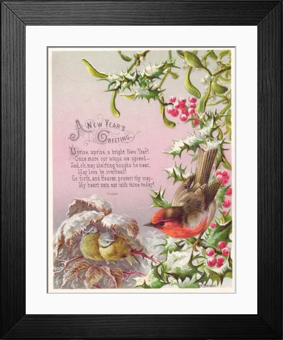 Framed Print : Robin and two great tits on a New Year card Framed Print : Robin and two great tits on a New Year card