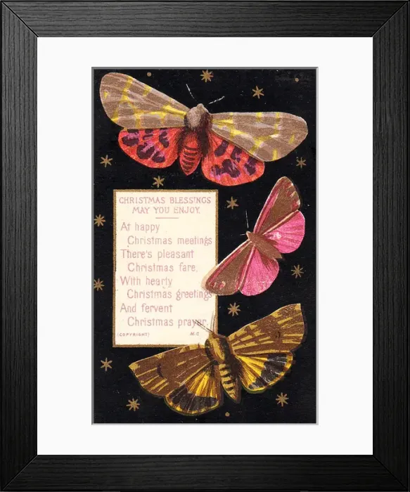 Framed Print : Three moths on a Christmas card Framed Print : Three moths on a Christmas card