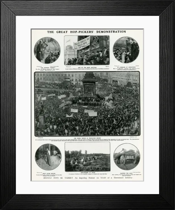 Framed Print : Great hop-pickers demonstration 1908 Framed Print : Great hop-pickers demonstration 1908
