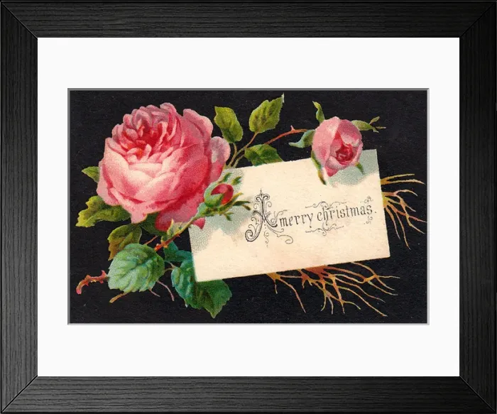 Framed Print : Pink roses on a Christmas card Framed Print : Pink roses on a Christmas card