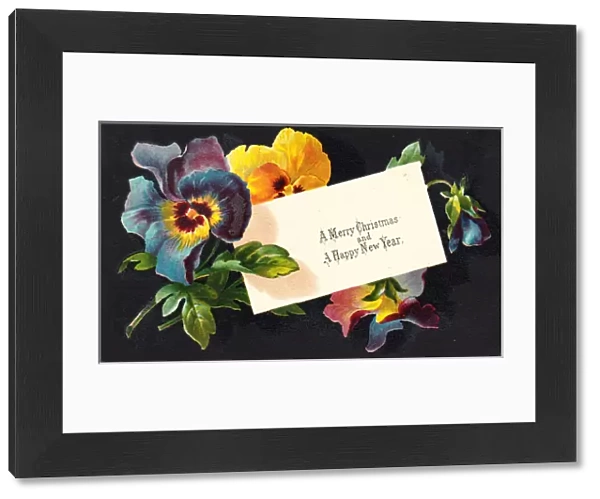 Multicoloured pansies on a Christmas card