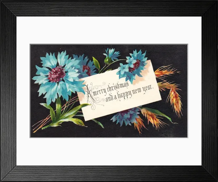Framed Print : Blue cornflowers on a Christmas card Framed Print : Blue cornflowers on a Christmas card