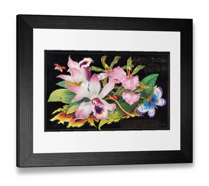 Framed Print : Pink lilies on a Christmas card Framed Print : Pink lilies on a Christmas card