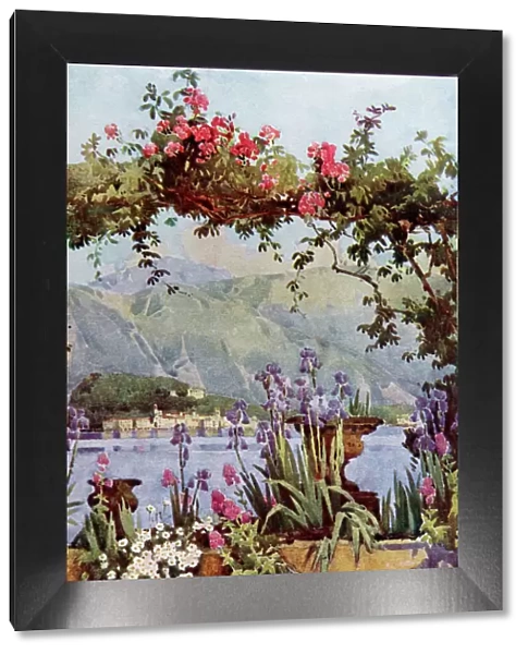 Garden at Cadenabbia, Lake Como, Lombardy, Italy