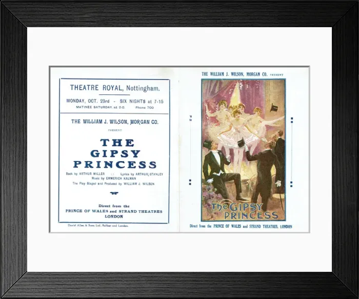Framed Print : The Gipsy Princess Framed Print : The Gipsy Princess