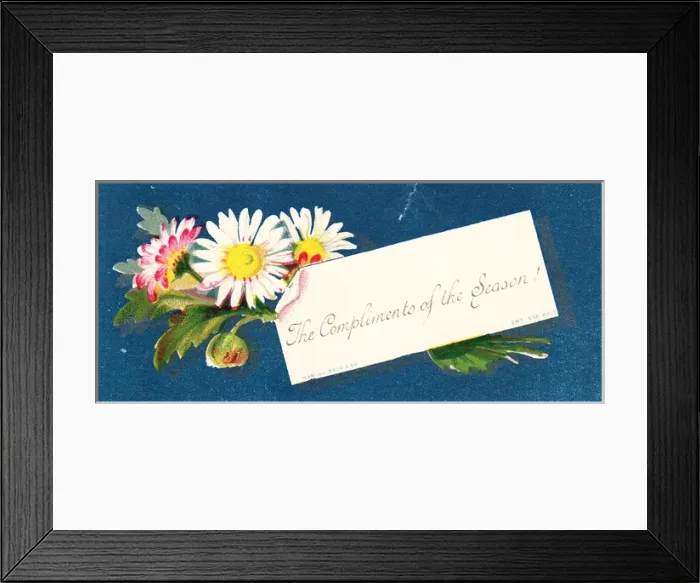 Framed Print : Daisies on a Christmas card Framed Print : Daisies on a Christmas card