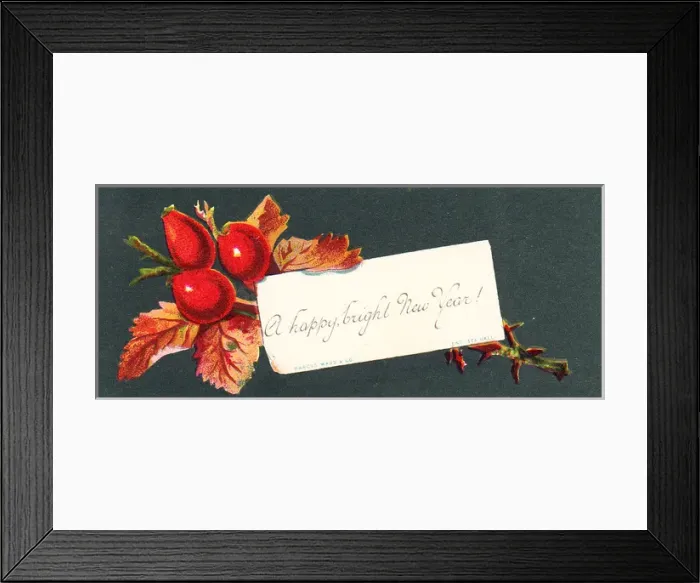Framed Print : Red berries on a New Year card Framed Print : Red berries on a New Year card