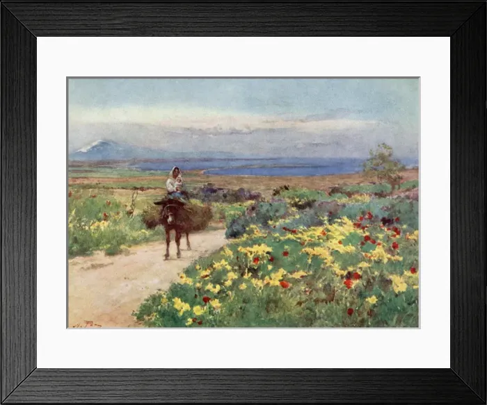 Framed Print : Spring-time in Syracuse, Etna in the distance, Italy Framed Print : Spring-time in Syracuse, Etna in the distance, Italy