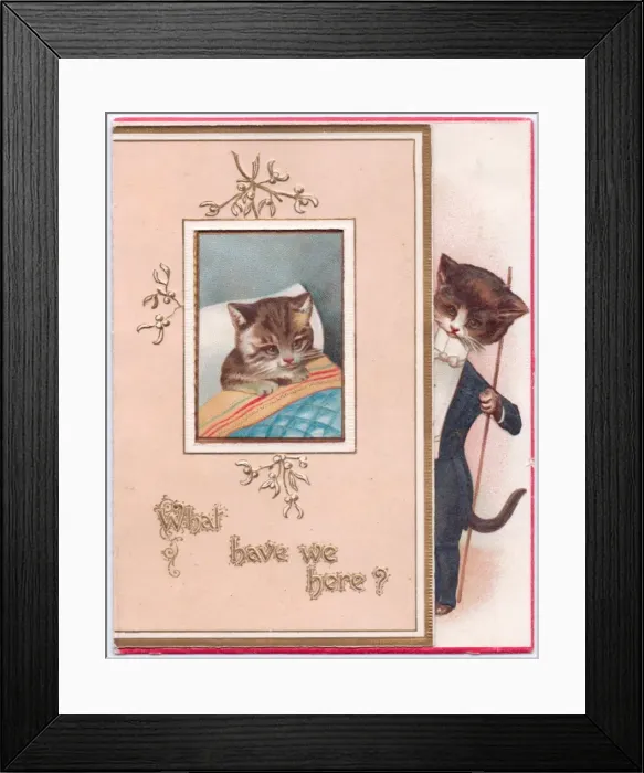 Framed Print : Two cats on a Christmas card Framed Print : Two cats on a Christmas card