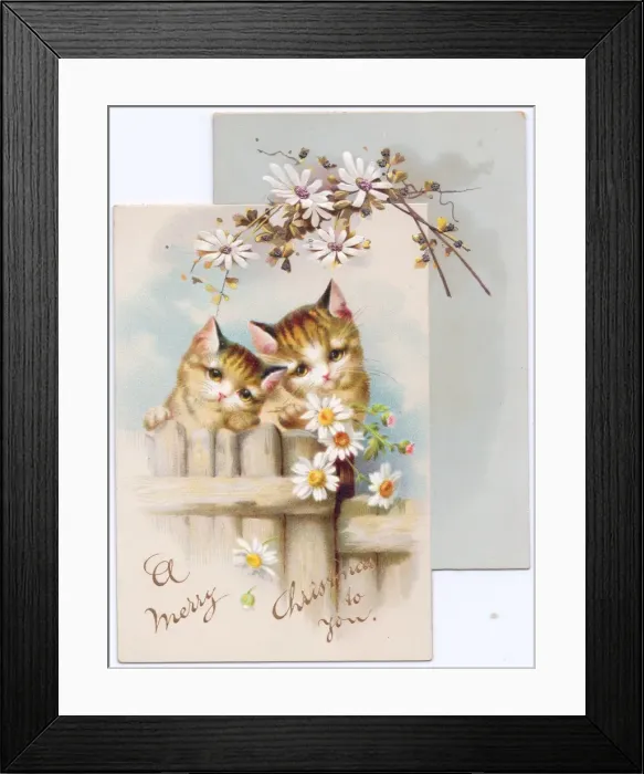 Framed Print : Two cats on a Christmas card Framed Print : Two cats on a Christmas card