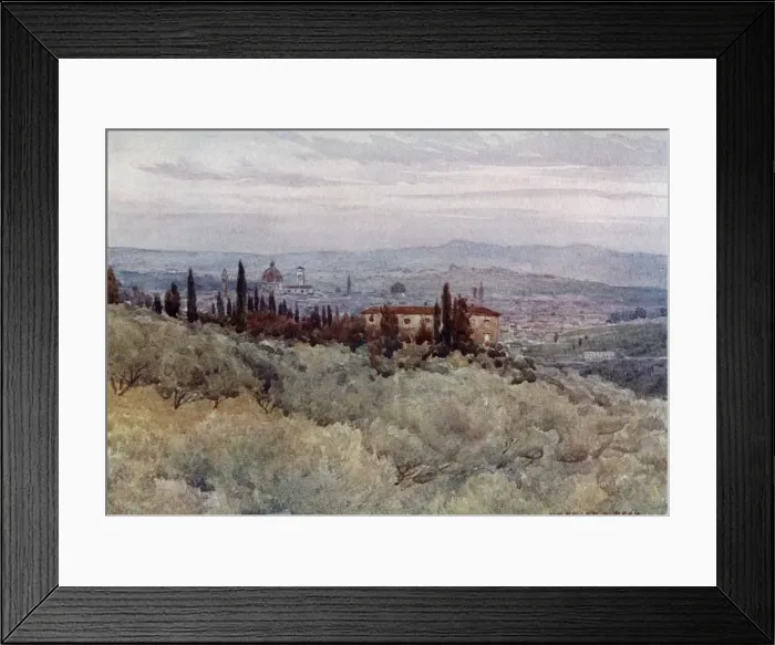 Framed Print : Florence from the olive gardens of San Domenico, Italy Framed Print : Florence from the olive gardens of San Domenico, Italy