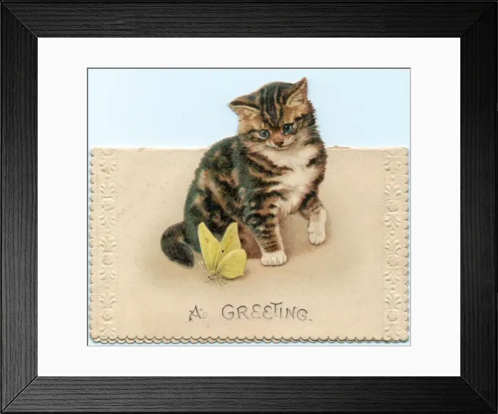 Framed Print : Kitten with butterfly on a greetings card Framed Print : Kitten with butterfly on a greetings card