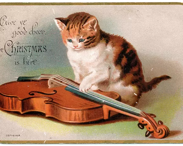 Kitten with a violin on a Christmas card