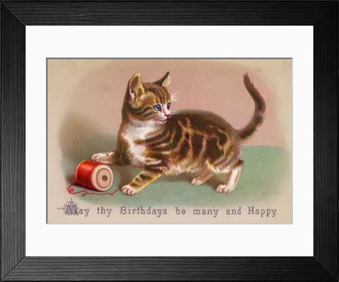 Framed Print : Kitten with cotton reel on a birthday card Framed Print : Kitten with cotton reel on a birthday card
