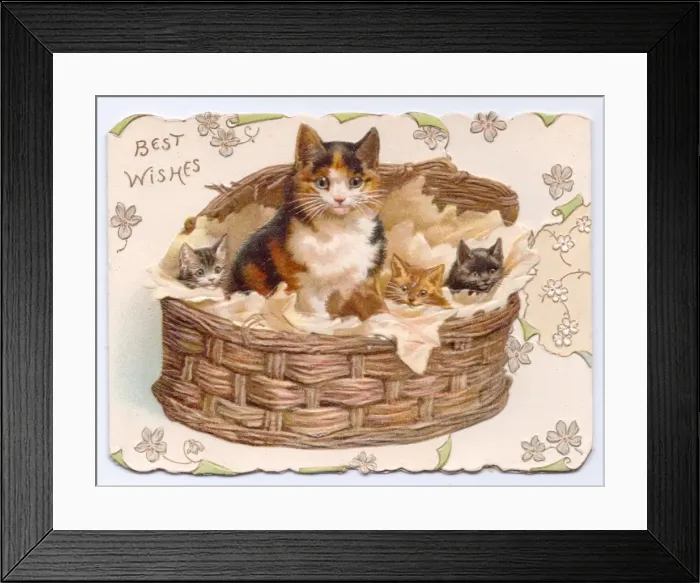 Framed Print : Cat and kittens in a basket on a greetings card Framed Print : Cat and kittens in a basket on a greetings card