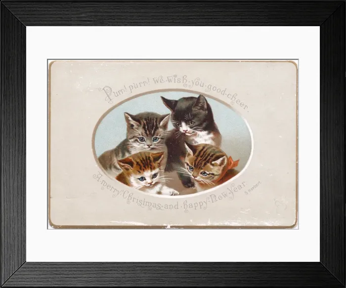 Framed Print : Four kittens on a Christmas card Framed Print : Four kittens on a Christmas card