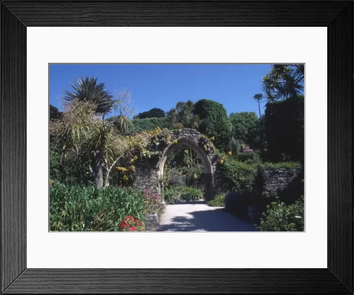Framed Print : Arch in Abbey Gardens, Tresco, Isles of Scilly Framed Print : Arch in Abbey Gardens, Tresco, Isles of Scilly