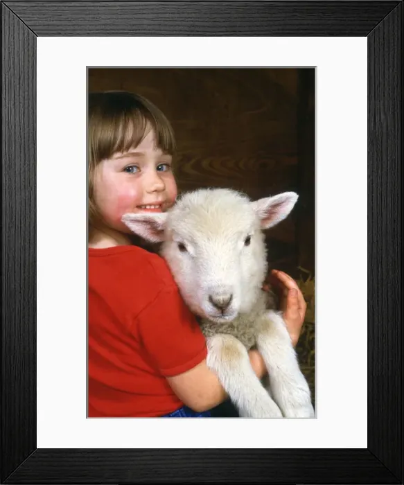 Framed Print : Little girl holding a lamb Framed Print : Little girl holding a lamb