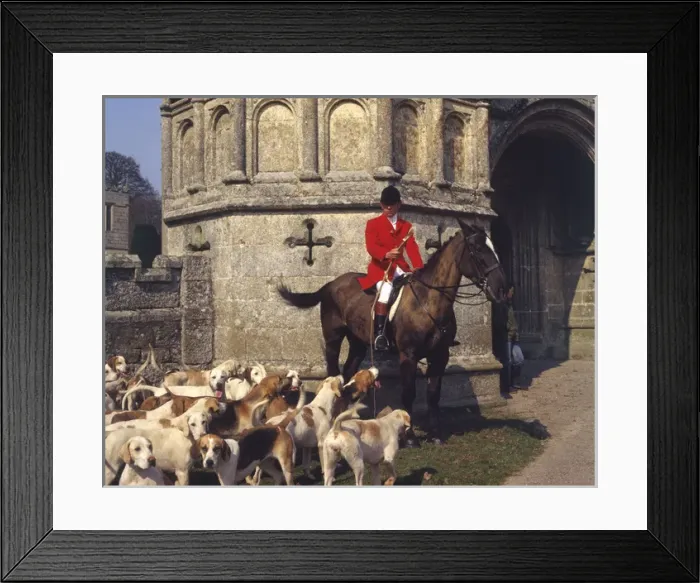Framed Print : Huntsman and foxhounds, Bodmin, Cornwall Framed Print : Huntsman and foxhounds, Bodmin, Cornwall