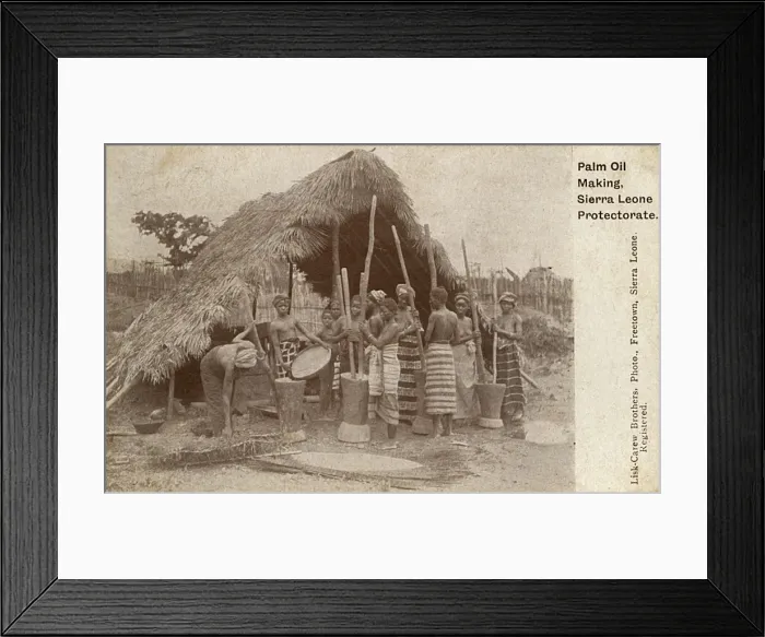 Framed Print : Sierra Leone - Making Palm Oil Framed Print : Sierra Leone - Making Palm Oil