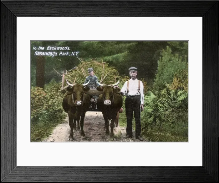 Framed Print : Locals with cart, Sacandaga Park, New York State, USA Framed Print : Locals with cart, Sacandaga Park, New York State, USA