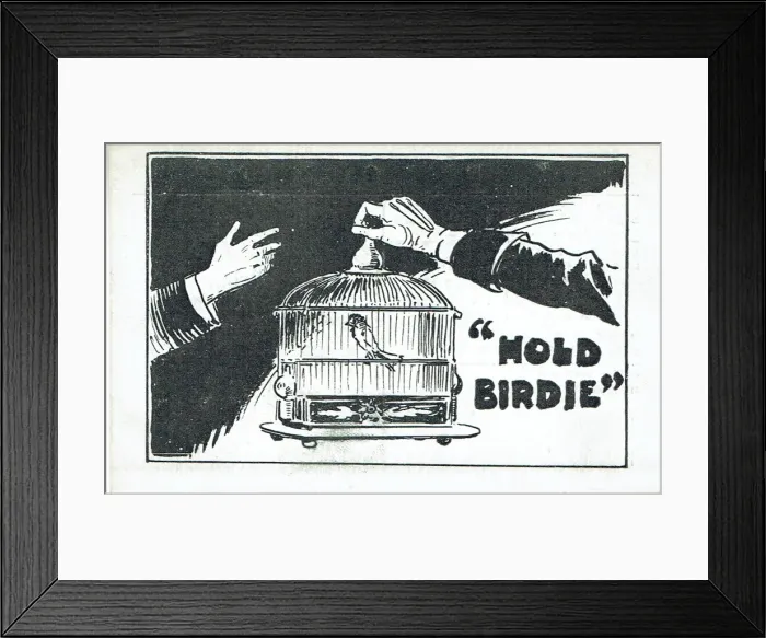 Framed Print : Jerry by Charles Windermere Framed Print : Jerry by Charles Windermere