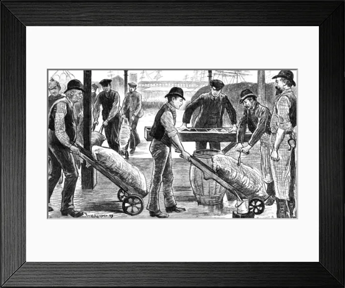 Framed Print : Dockers unload sugar at the West India Docks, London Framed Print : Dockers unload sugar at the West India Docks, London