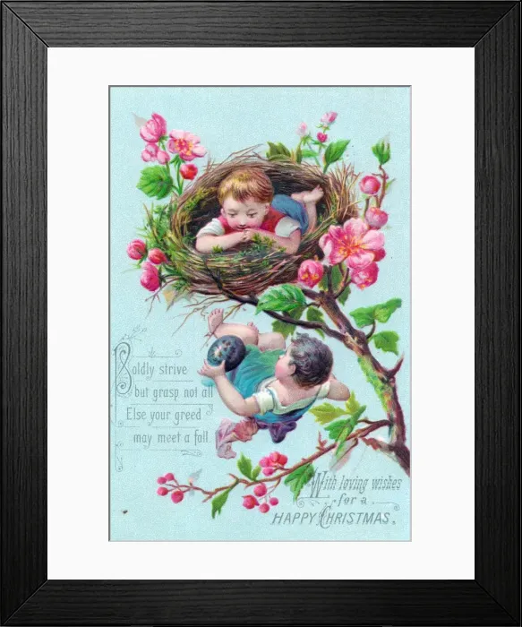 Framed Print : Little boys birds nesting on a Christmas card Framed Print : Little boys birds nesting on a Christmas card