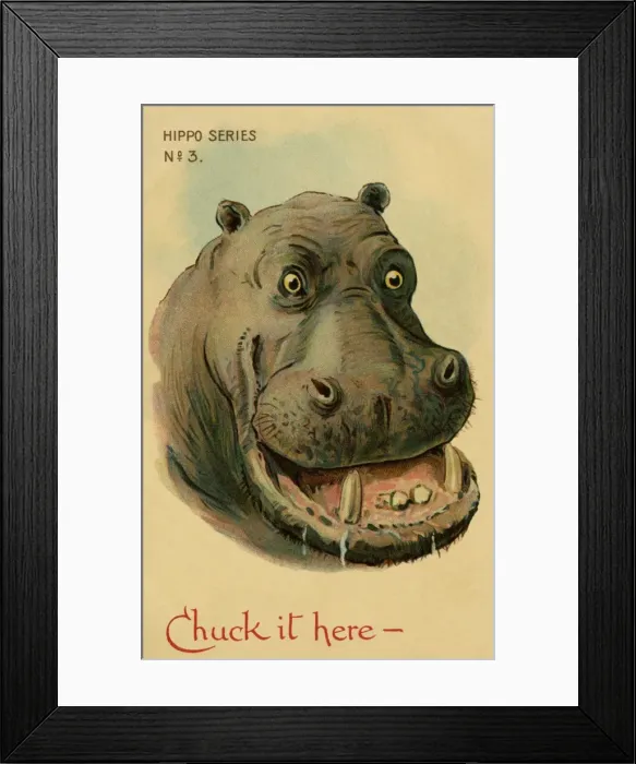 Framed Print : Hippo. Humorous drawing of a hippo. Chuck it here. Artist George Henry Thompson Date: 1904 Framed Print : Hippo. Humorous drawing of a hippo. Chuck it here. Artist George Henry Thompson Date: 1904