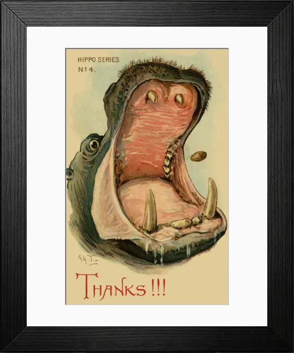 Framed Print : Hippo. Humorous drawing of a hippo. Thanks!!!. Artist George Henry Thompson Date: 1904 Framed Print : Hippo. Humorous drawing of a hippo. Thanks!!!. Artist George Henry Thompson Date: 1904